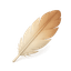 DailyBlogPost logo